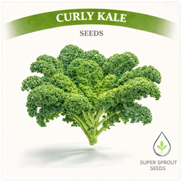 Kale Vates Blue curly  x 50 seeds
