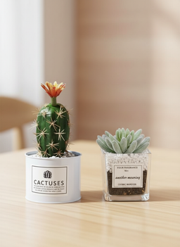 INS ARTIFICIAL PLANT DECO