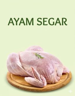 Ayam Segar