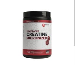 Creatina Monohidrato Micronizada One Fit x 500g