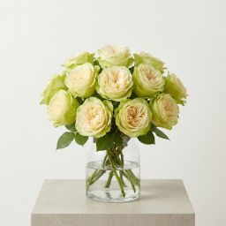 The Signature Rose Dozen (Colors Vary)
