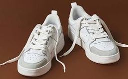 Skate Shoes