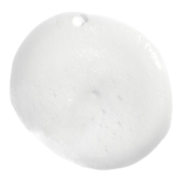 Artistry Skin Nutrition™ Renewing Foaming Cleanser