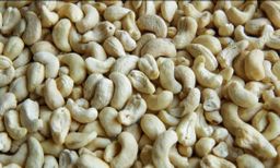Plain cashew nuts 250g