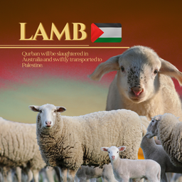 LAMB (PALESTINE)