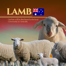 LAMB (AUSTRALIA)
