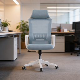 258 - ERGONOMIC OFFICE CHAIR