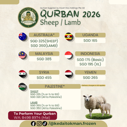 Sheep - Uganda 🇺🇬 