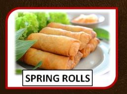 Chicken spring rolls (R)