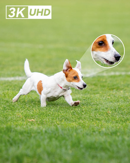 IMOU BULB CAM TIPO FOCO / RESOLUCION 2K 3MP / MOTORIZADA 360 / WIFI / INTERIOR / TECNOLOGIA AI / DETECCION DE PERSONAS Y VEHICULOS