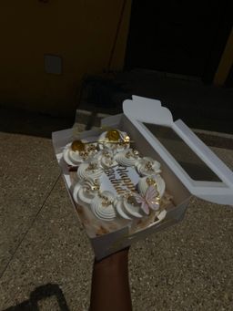 Bento Cake with 2 cupcakes 