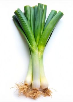 Spring onion 