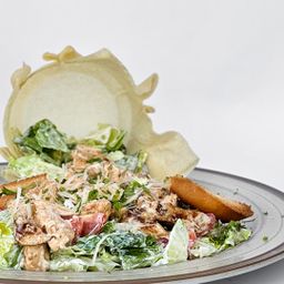 CASUAL CEASER | سيزر كاجوال