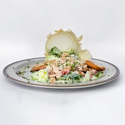 CASUAL CEASER | سيزر كاجوال