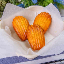 Vanilla Madeleines