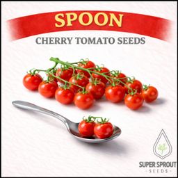 Exotic cherry tomato combo x 6 packs 10 seeds per pack