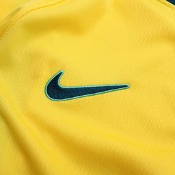 Brazil NT Nike AEROFIT Kit 26