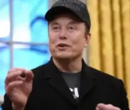 Search investor for project