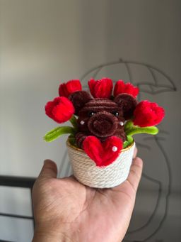 Teddy tulips flower pot