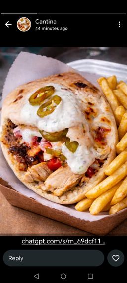 Jalapeño Chicken Schwarma With Chips 