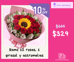 12 Rosas, un Girasol y Astromelias