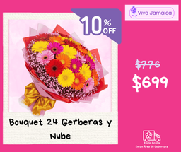 Bouquet 24 Gerberas y Nube