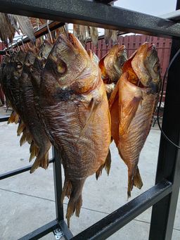 Dorada Afumată - 130 lei / Kg