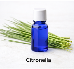 Citronella essential oil
