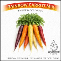 🥕CARROTS RAINBOW MIX🥕 x 50+ organic seeds