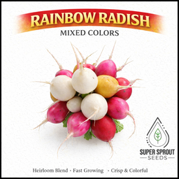 🌱GOURMET RAINBOW RADISH BLEND🌱 x 50 + organic seeds