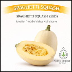 🥒SPAGHETTI SQUASH🥒 x 5 seeds 
