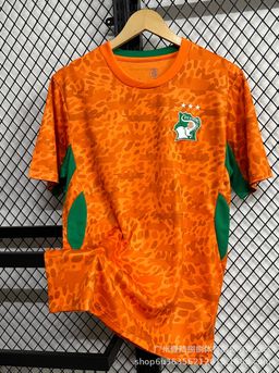 MAILLOT DE CÔTE D'IVOIRE COUPE DU MONDE VERSION BRODÉ UNIQUEMENT 