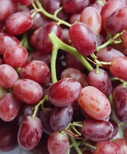 Grapes 
