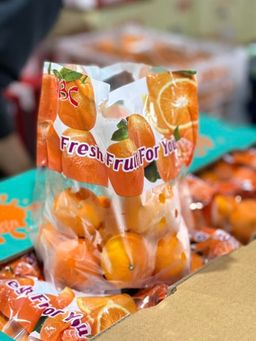 Japan Kiat (By the Box) 