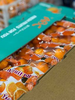 Japan Kiat (By the Box) 