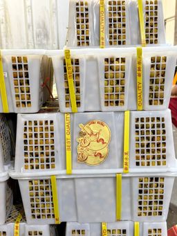 Longgan (By the Box) 