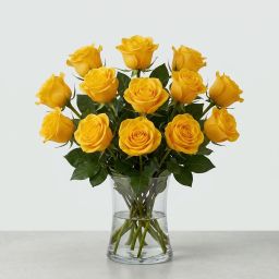 The Signature Rose Dozen (Colors Vary)