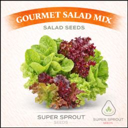 Gourmet lettuce mix x 100+ seeds 