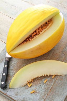 Melon Canario (Golden Canary Melon)
