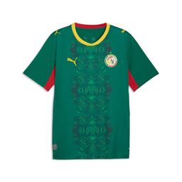 Senegal NT Puma ULTRAWEAVE Kit 26