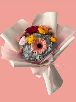 62 - Estrella Jazmin