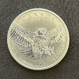 Great Horned Owl 2015 – 1oz .9999 Silver Coin | Canada Birds of Prey