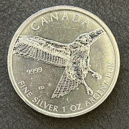 Red-Tailed Hawk 2015 – 1oz .9999 Silver Coin | Canada Birds of Prey