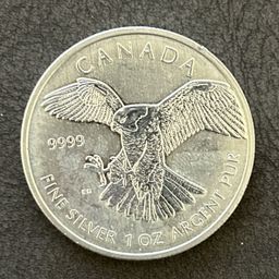 Peregrine Falcon 2014 – 1oz .9999 Silver Coin | Canada Birds of Prey