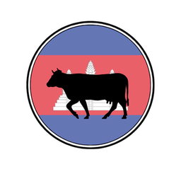 Cambodia - Cattle