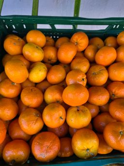 كرمنتينا | Clementine