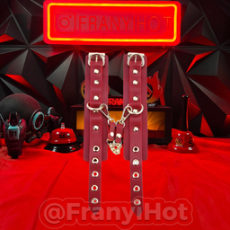 Set de esposas con estuche 