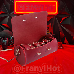 Set de esposas con estuche 