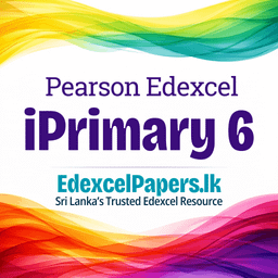 iPrimary 6 PastPapers