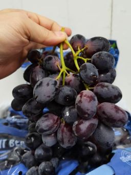 美国黑葡萄 USA Black Grape（500gram/pack）